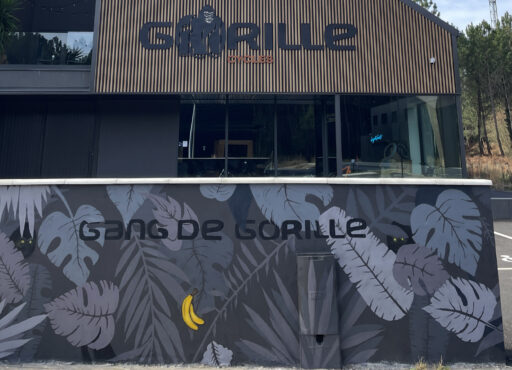 mur gorille Soorts-Hossegor Hossegor